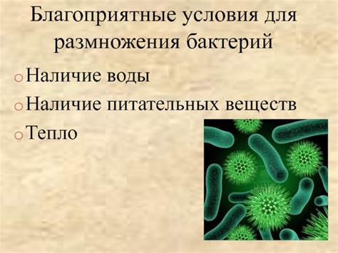 Тепло и влажность: условия, благоприятные для размножения моли