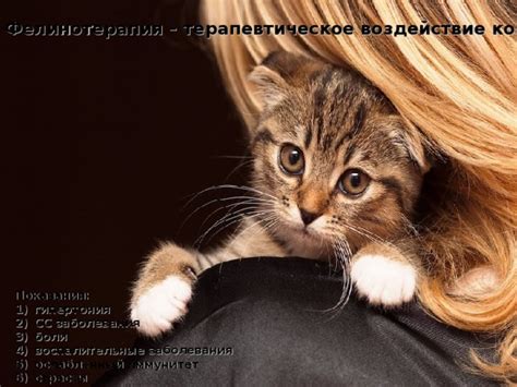Терапевтическое воздействие присутствия кота