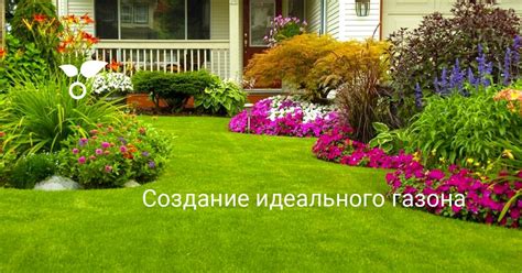 Типы лезвий для обеспечения идеального газона