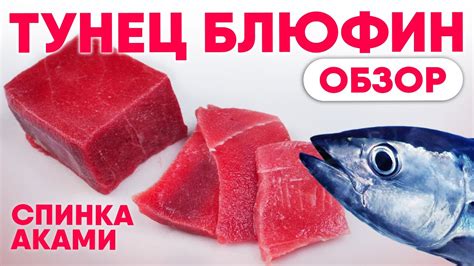 Топ-5 заведений с выбором свежей деликатесной рыбы