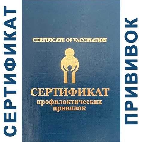 Требования к оформлению сертификата и листа прививок