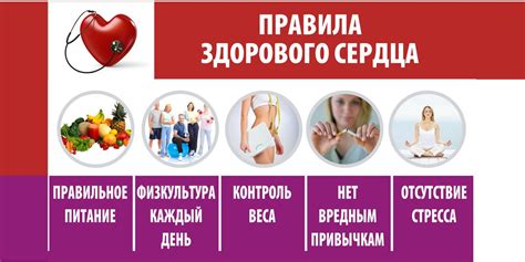 Укрепление иммунитета и профилактика заболеваний сердечно-сосудистой системы