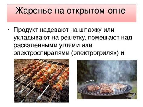 Уличная еда: насладитесь вкусом закусок, горячих блюд и кулинарных экспериментов на свежем воздухе