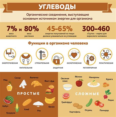 Умеренное потребление углеводных продуктов: поддержание гармонии организма