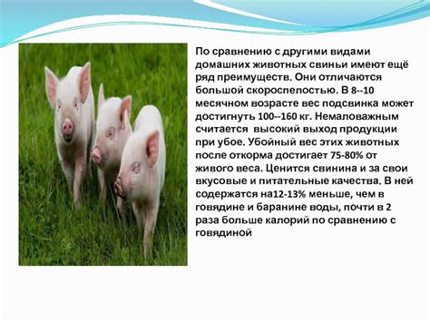 Уникальные преимущества по сравнению с другими видами мяса