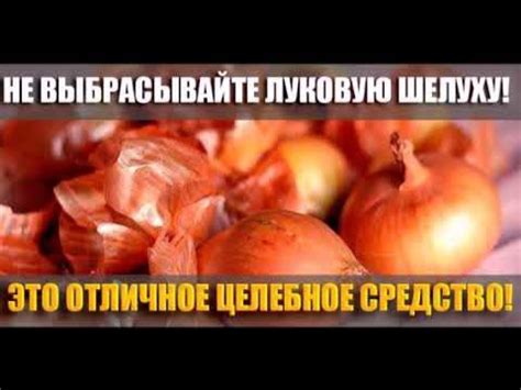 Уникальные свойства луковой культуры в виртуальной вселенной