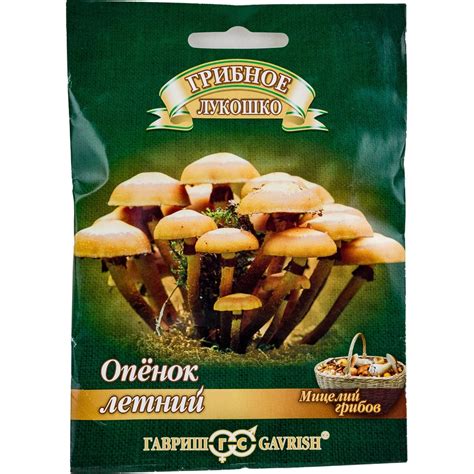 Уникальные характеристики ясеня в роли древесной породы