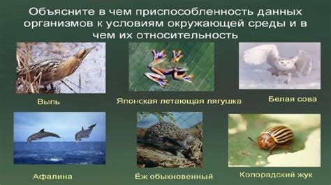 Уникальные черты поведения и приспособления к среде обитания