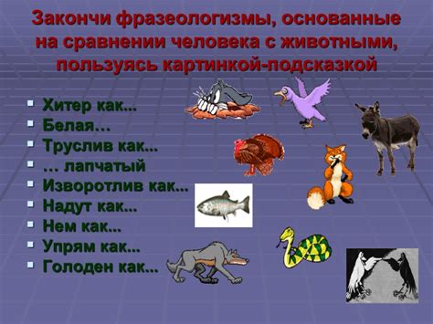 Уникальные языковые способности человека в сравнении с животными