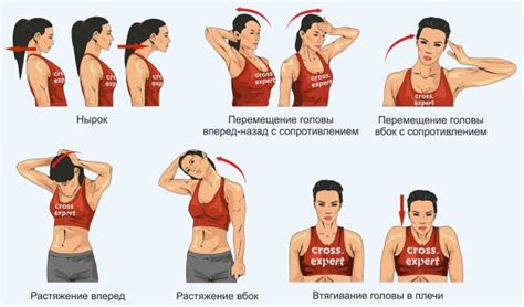 Упражнения для укрепления мышц шеи и плечевого пояса
