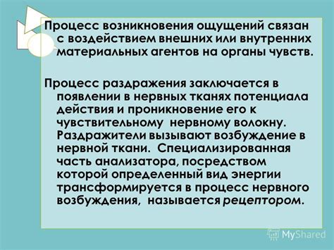 Устремительное постижение палитры пляжных ощущений: проникновение в уникальную обстановку