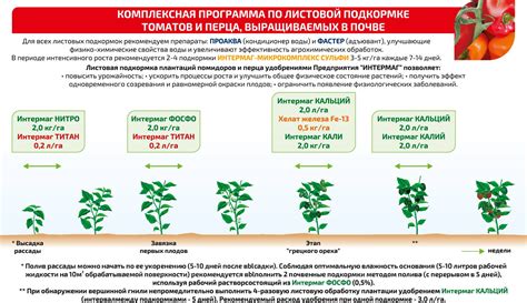 Уход за кунжутом в теплице и открытом грунте