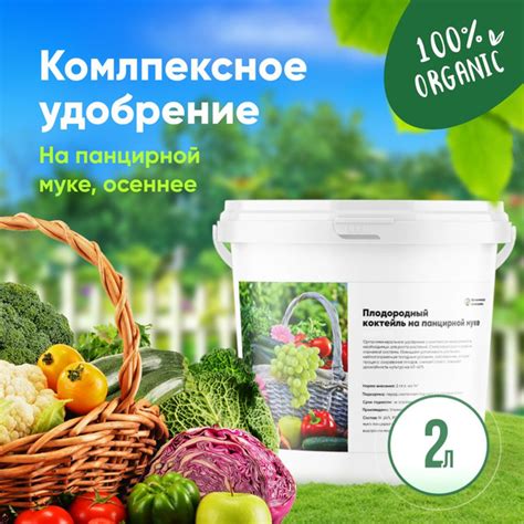 Уход и питание панцирной питомицы