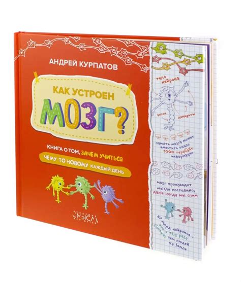 Учиться новому каждый день
