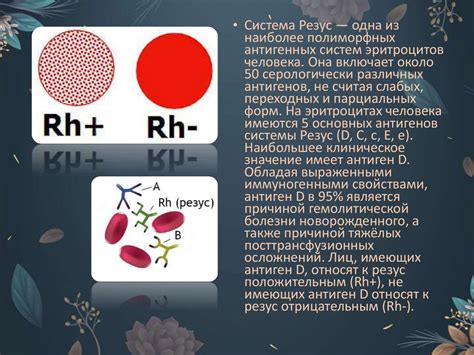 Факторы, влияющие на совместимость компонентов