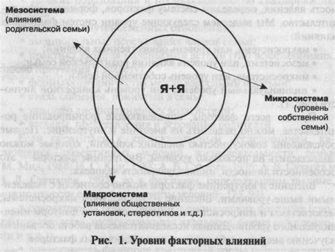 Факторы, определяющие формирование и расположение зародышевого органа в растениях