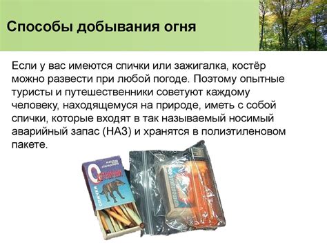 Факторы формирования союза у волков в природной среде