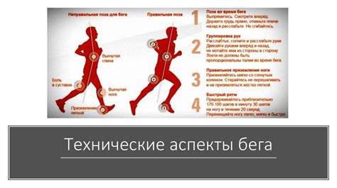 Физиологические аспекты дальнего бега