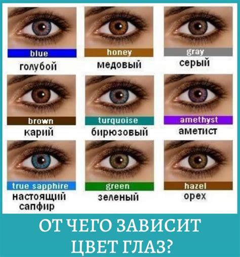 Физиологическое значение цвета глаз у человека