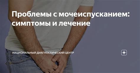 Физиология овуляции и связь с учащенным мочеиспусканием