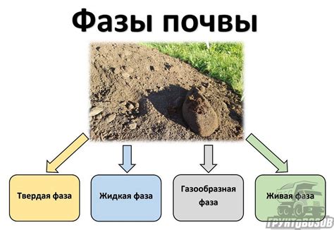 Физические и химические характеристики компонентов для повышения плодородия почвы