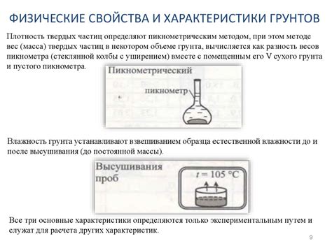 Физические характеристики: размеры и внешний вид
