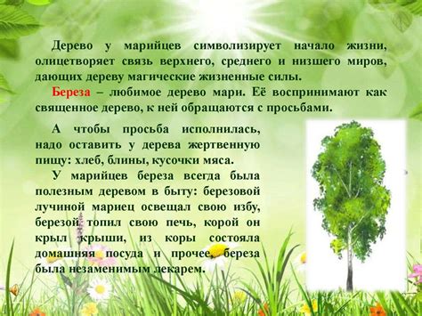 Фотоальбом тихого уголка Абхазской природы: прикоснись к красоте и величию водопада Ирина