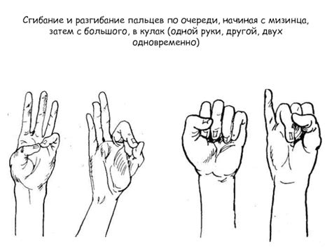 Функциональность пальцев: обширный спектр движений
