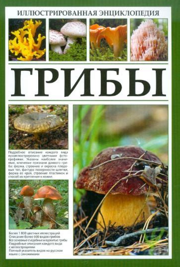 Характеристики таинственных ушных тургоров: редкий и загадочный феномен
