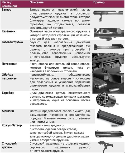 Цели и мотивы приобретения огнестрельного оружия
