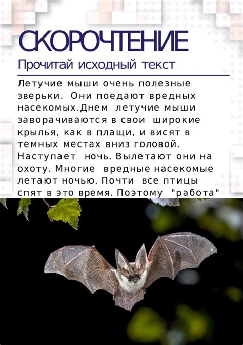 Частые ошибки, которые мешают обнаружить летучие мыши в затененных местах