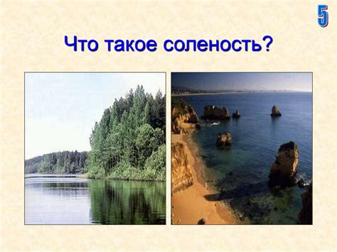 Что такое соленость воды и почему ее значение необходимо учитывать