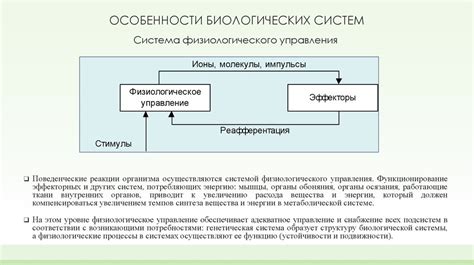 Эволюция и приспособление в биологических системах