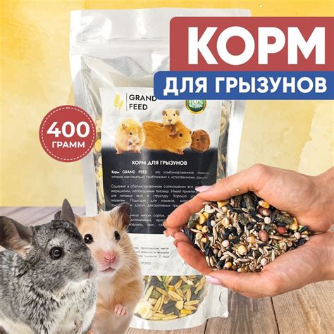 Экзотическое дополнение к рациону: бананы для разнообразия питания морских грызунов