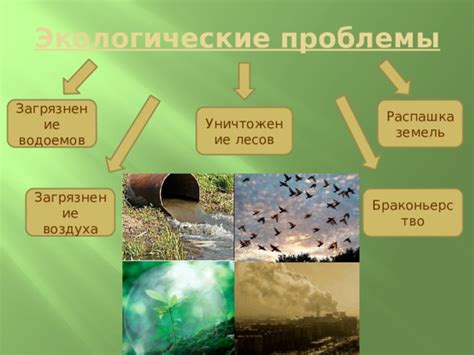 Экологические аспекты: охрана природы и ограничения