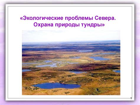 Экологические проблемы и охрана у знаменитого природного водоема