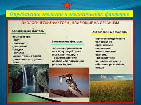 Экологические различия на разных земных полушариях и их влияние на природную грань