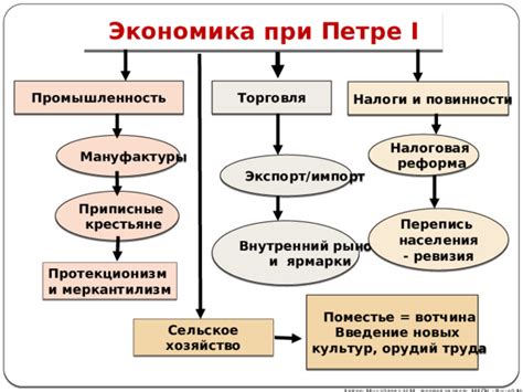 Экономическая значимость авокадо: торговля, экспорт и внутренний рынок