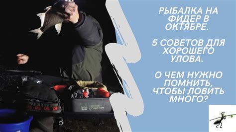 Эффективное использование наживки для повышения улова в рыболовных приключениях
