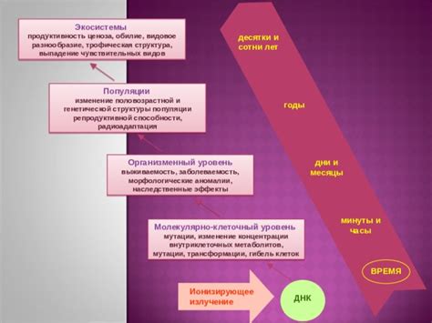 Эффекты цветов на уровень концентрации и производительности