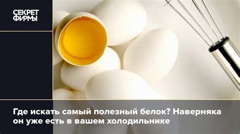 Яичный белок и его значимость для организма