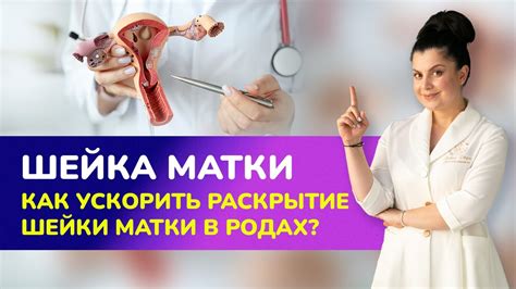 Альтернативные способы стимуляции прогресса родов: поиск альтернативы для расширения шейки матки 