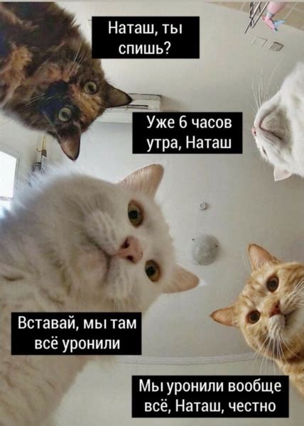  Больше, чем юмор: роль интернет-мемов в социальной и политической сферах
