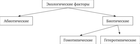 Важность учета финансовых и экологических факторов при применении ЦСП во внутренней отделке

