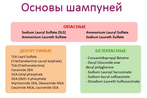  Важные компоненты, содержащиеся в составе шампуня 