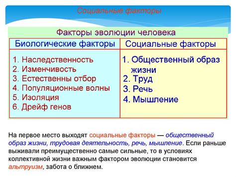  Влияние культурных и социальных факторов на перцепцию направлений
