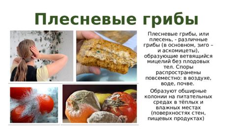  Влияние нагревания на сохранность питательных веществ в продуктах 