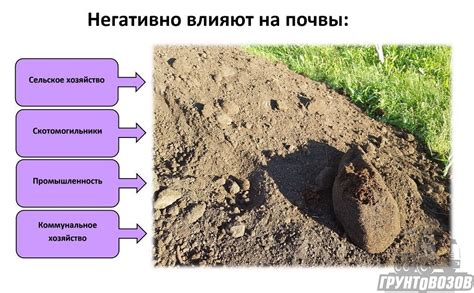 Влияние разложившегося древесного материала на сельское хозяйство 