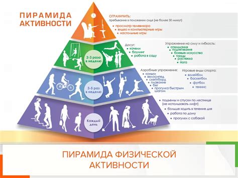  Влияние физической активности, питания и стресса на сердечный ритм 