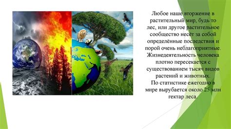  Воздействие потенциально опасных веществ, содержащихся в стиральной воде, на растительный мир